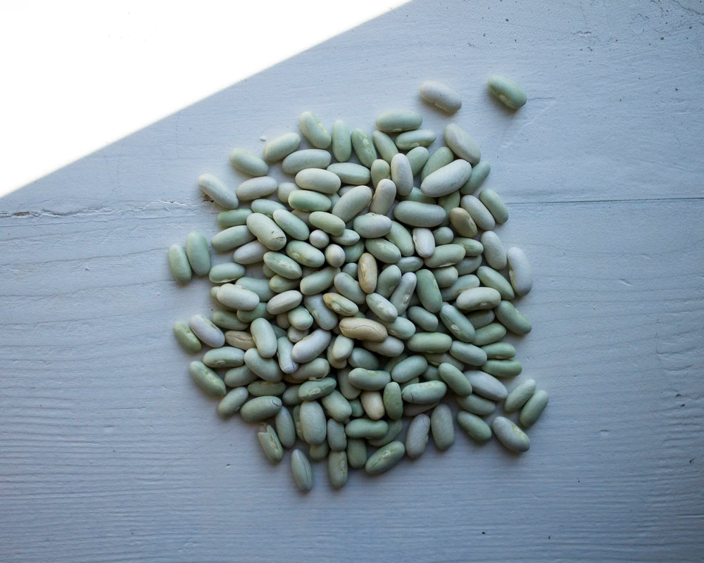 Flageolet beans
