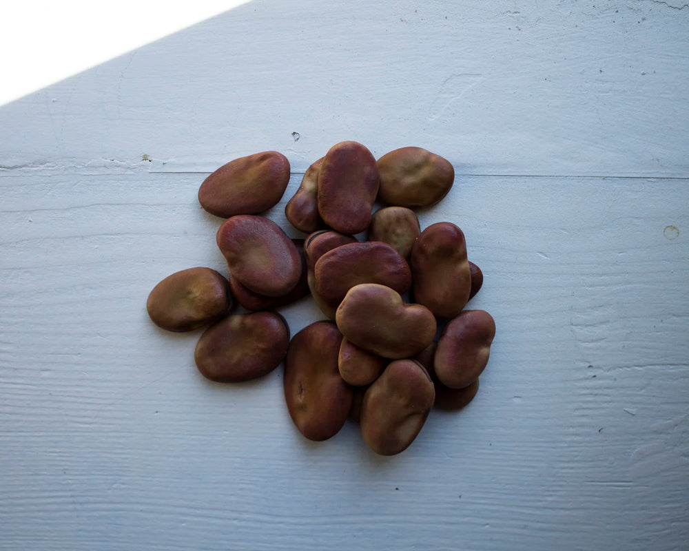 Fava beans