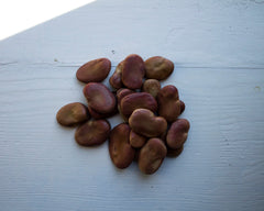 Fava beans