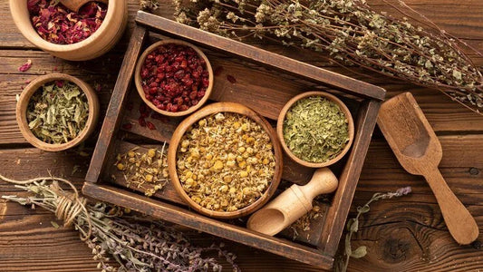 Natural herbs for better sleep