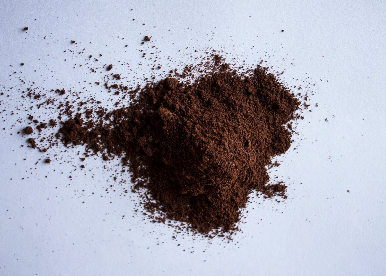 Ancho chilli powder