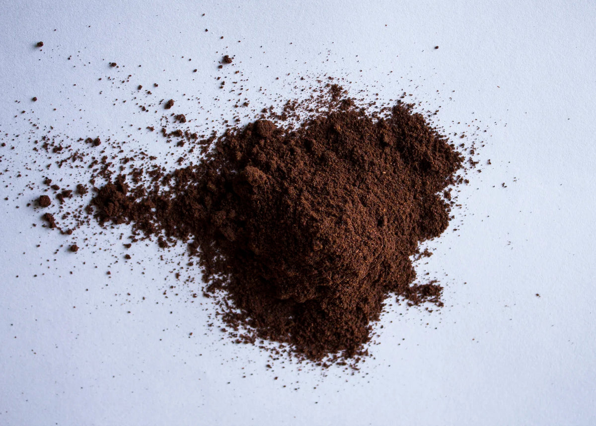Ancho chilli powder