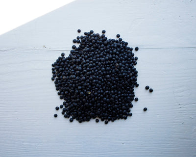 Beluga lentils