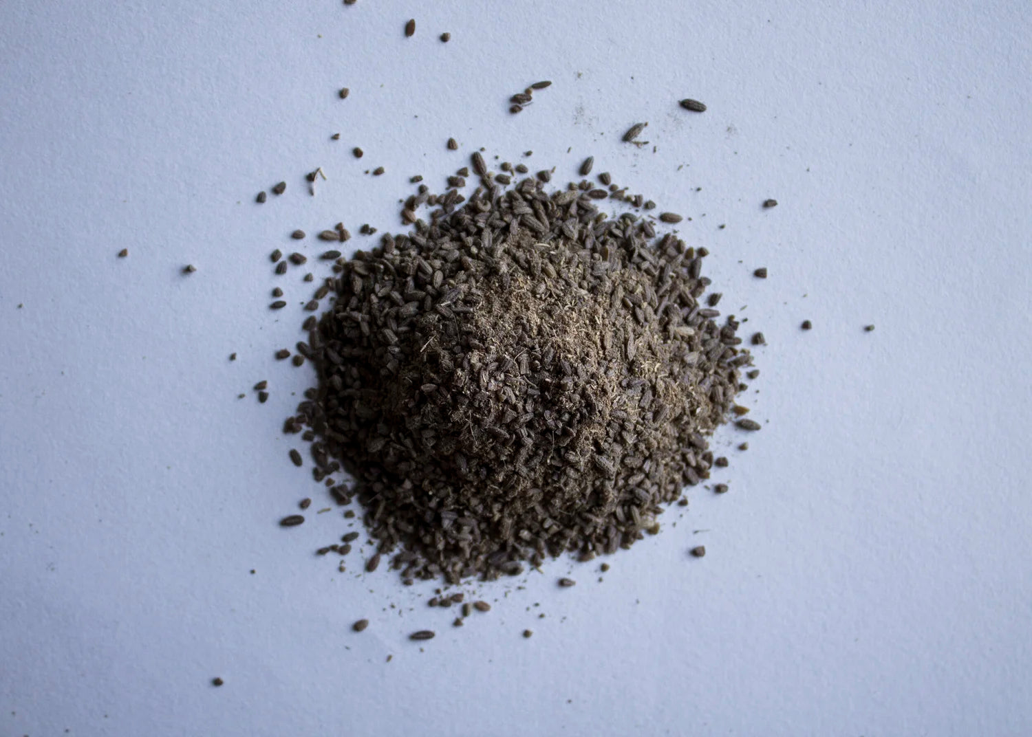 Dill seed ground
