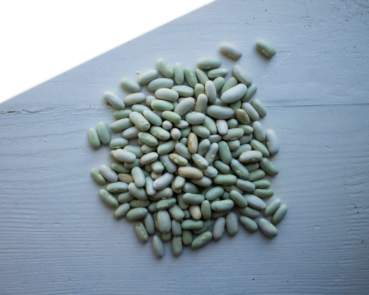 Flageolet beans