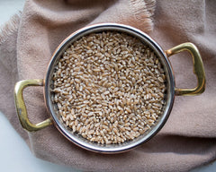 Whole wheat red spring (hard) organic