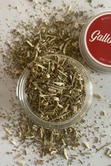 Blue Vervain