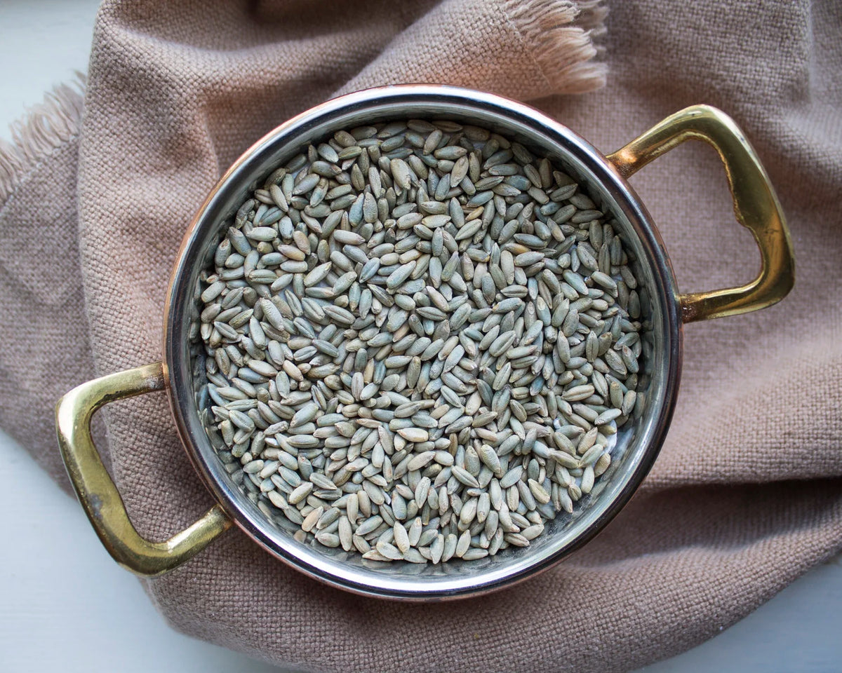 Rye whole, Organic