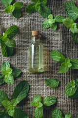 Peppermint extract
