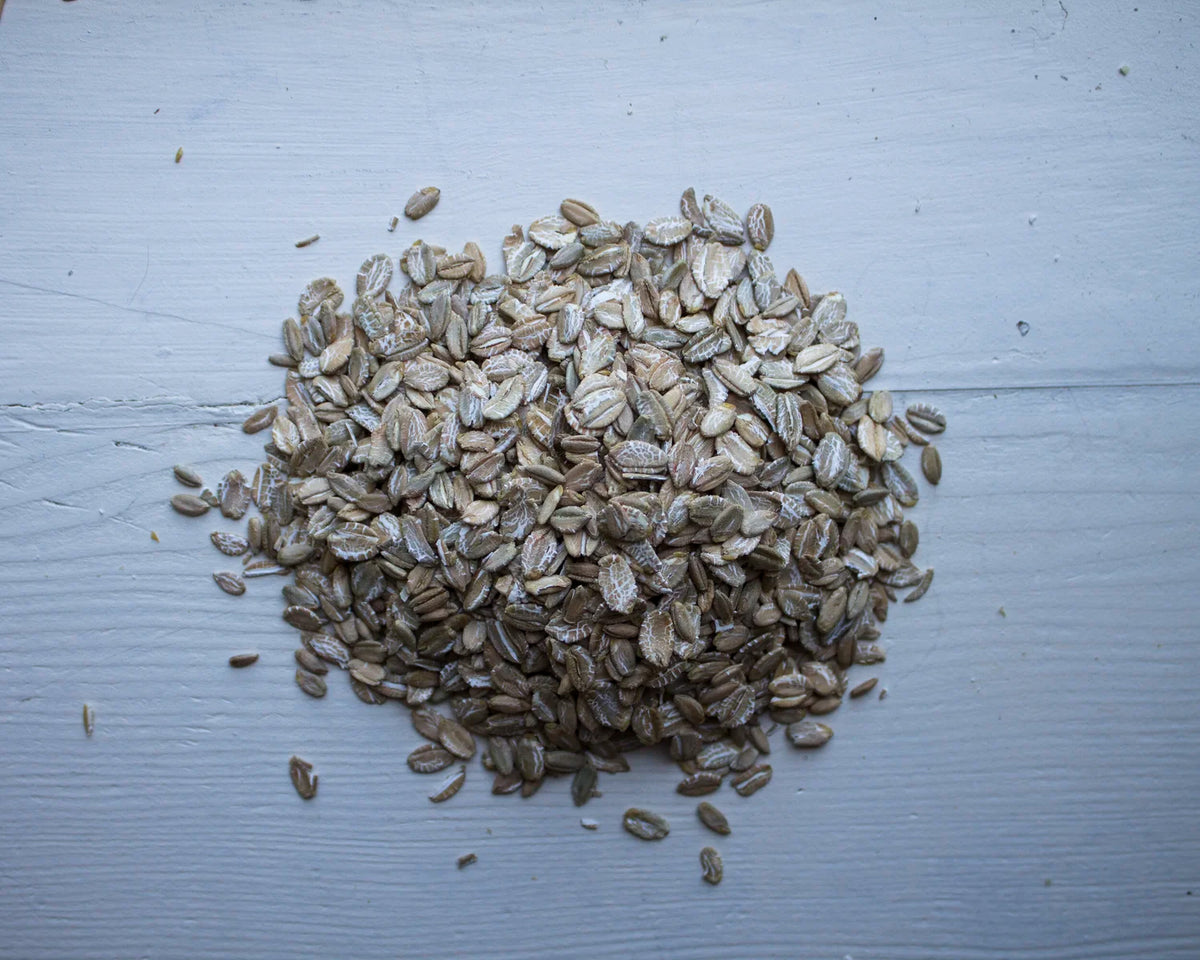 Sanarak Rye Organic Rye flakes – Galloway's Wholesome Foods®