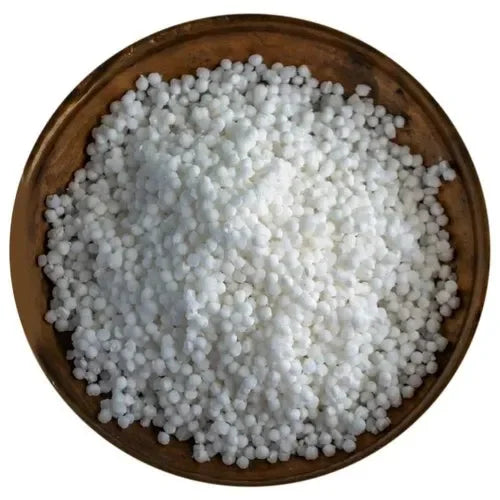 Tapioca seeds