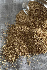 Baking yeast (Fleishman's)